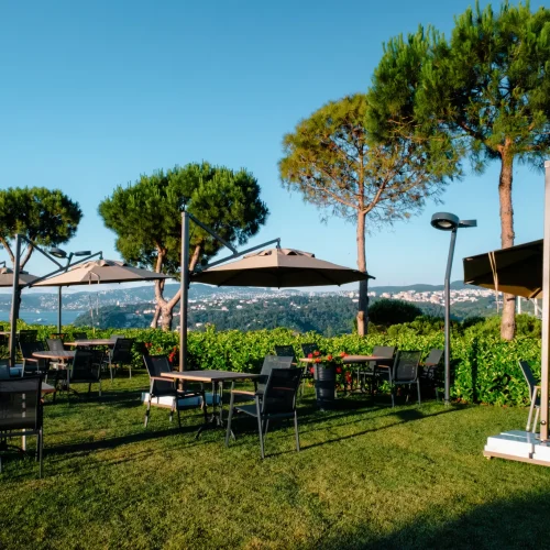 _DSF2794-Enhanced-NR