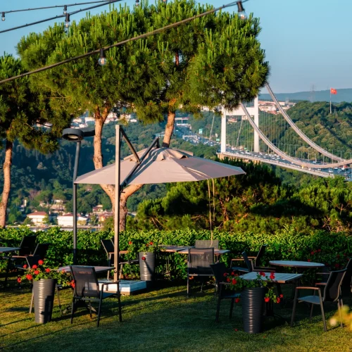 _DSF2821-Enhanced-NR