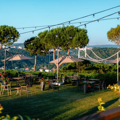 _DSF2826-Enhanced-NR