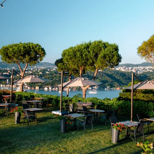 _DSF2828-Enhanced-NR