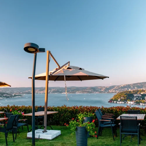 _DSF2871-Enhanced-NR