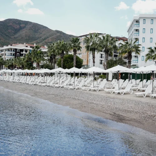 f156c8a9-2941-44a6-815c-69148dd3d2a7